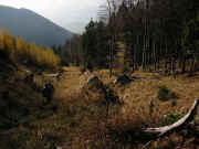Nedelja 4.november 2001