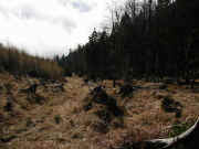 Nedelja 9.december 2001