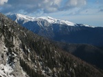 img_3754.jpg
