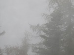 img_3093.jpg