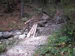 img_3119.jpg