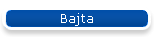 Bajta